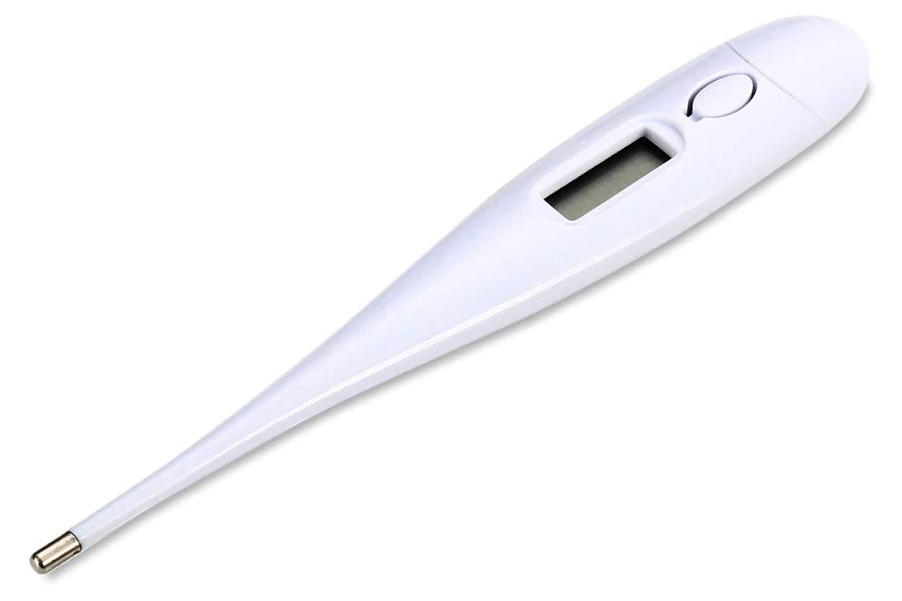 Digital Thermometer - Springkart 