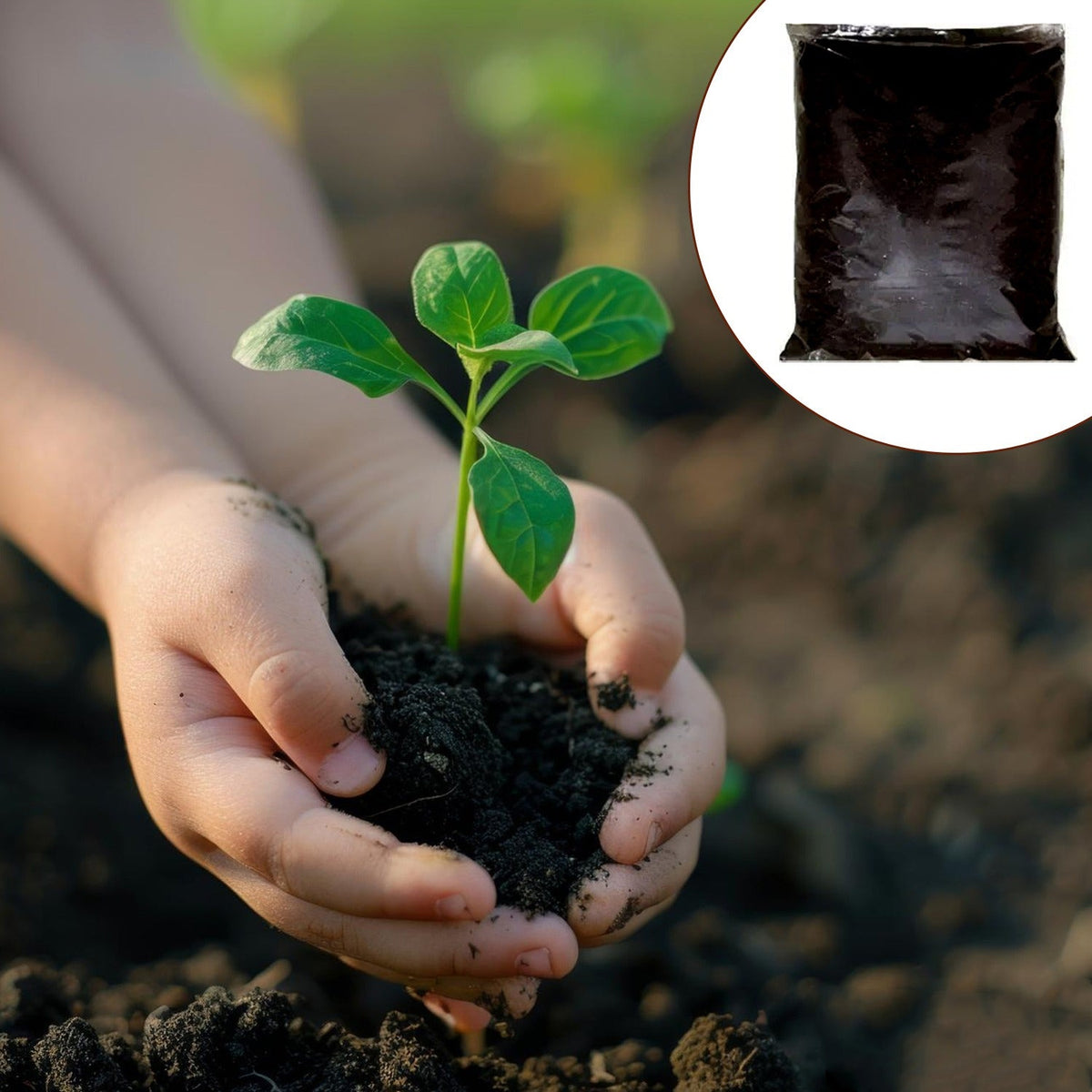 Organic Vermicompost Black Soil for Plants Health Manure (1 KG Approx) - Springkart 