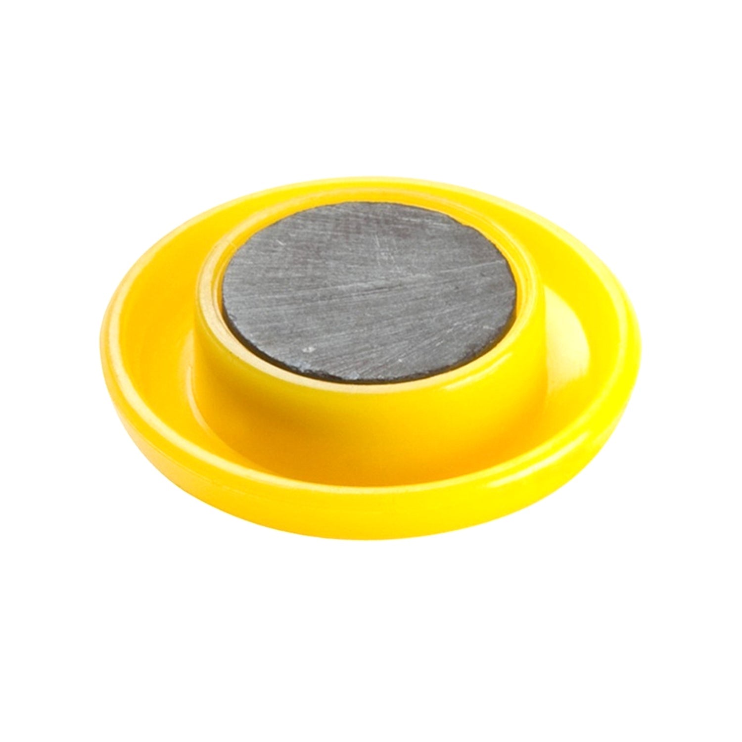 Colorful Board Magnets Circular Plastic Buttons - Springkart 