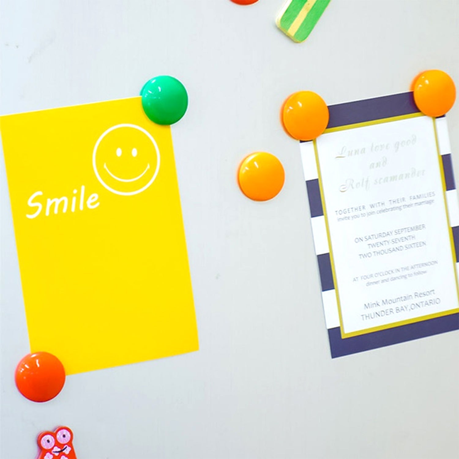 Colorful Board Magnets Circular Plastic Buttons - Springkart 