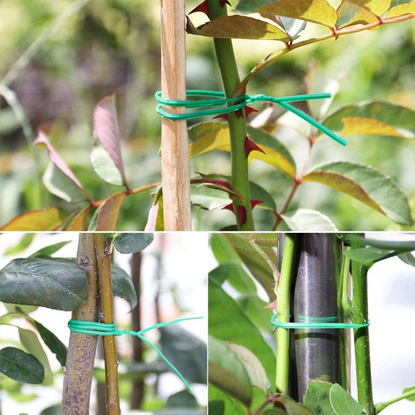 Plastic Twist Tie Wire Spool With Cutter For Garden Yard Plant 50m (Green) - Springkart 