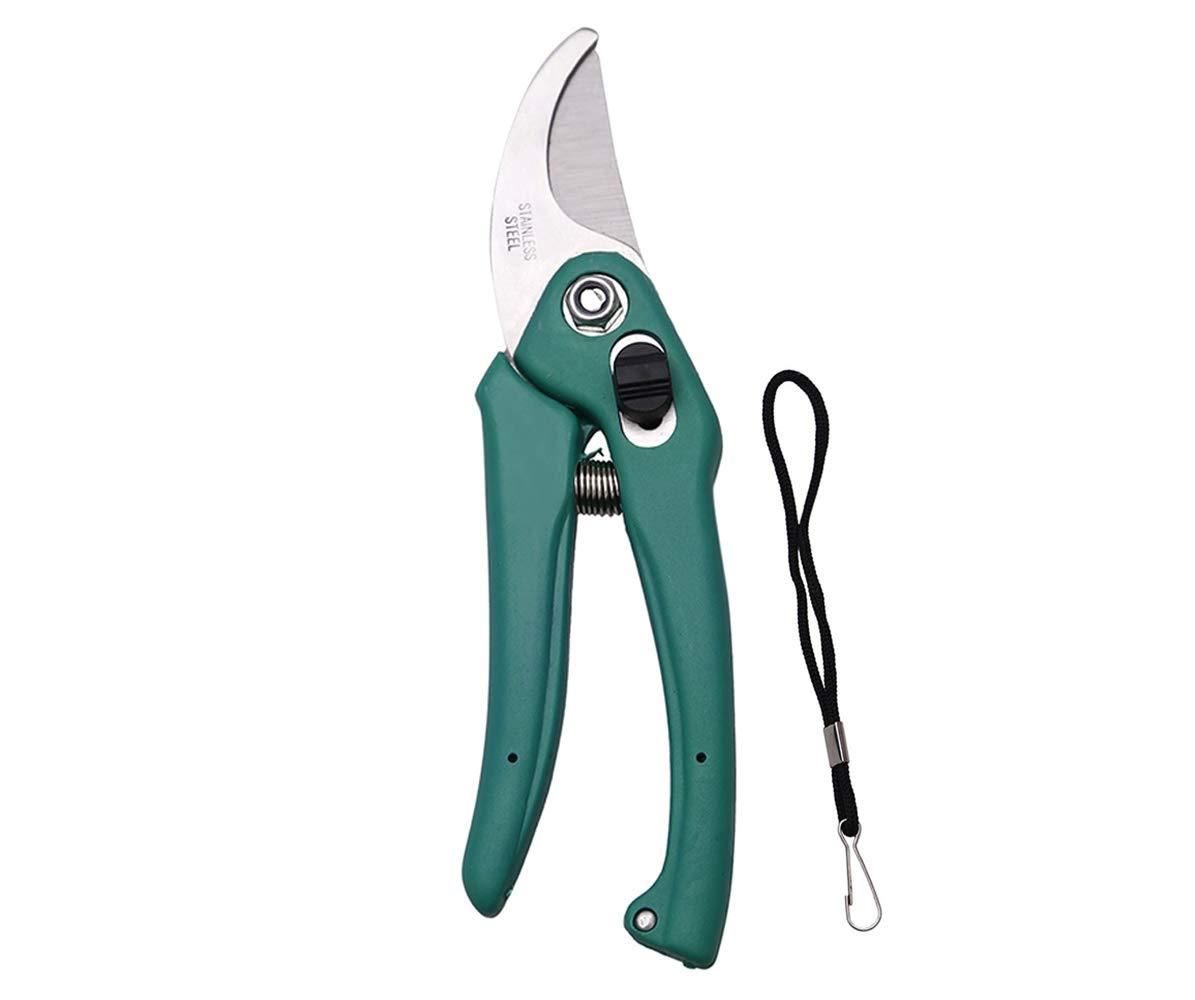 Stainless Steel Garden Scissors - Springkart 