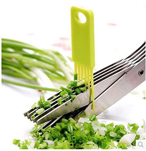 Multifunction Vegetable Stainless Steel Herbs Scissor with 5 Blades - Springkart 
