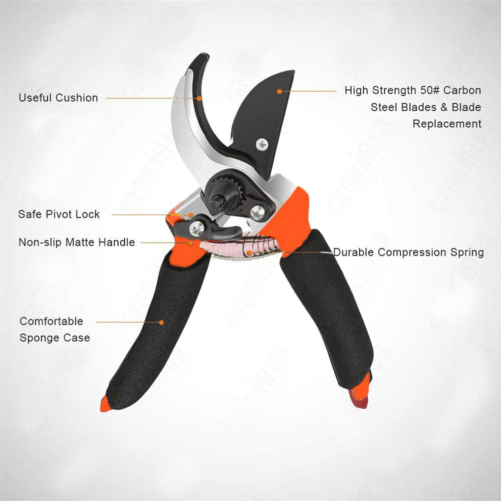 Garden Shears Sharp Cutter Pruners Scissor, Pruner - Springkart 