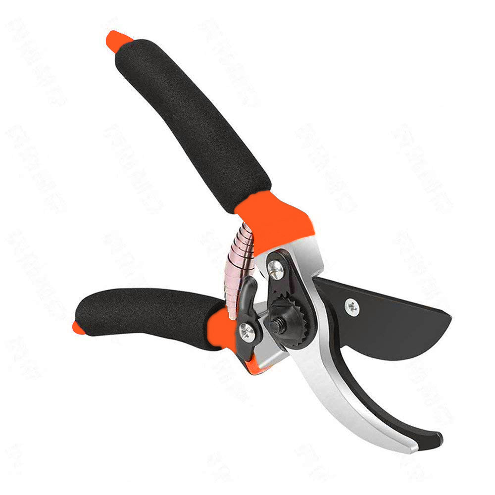 Garden Shears Sharp Cutter Pruners Scissor, Pruner - Springkart 