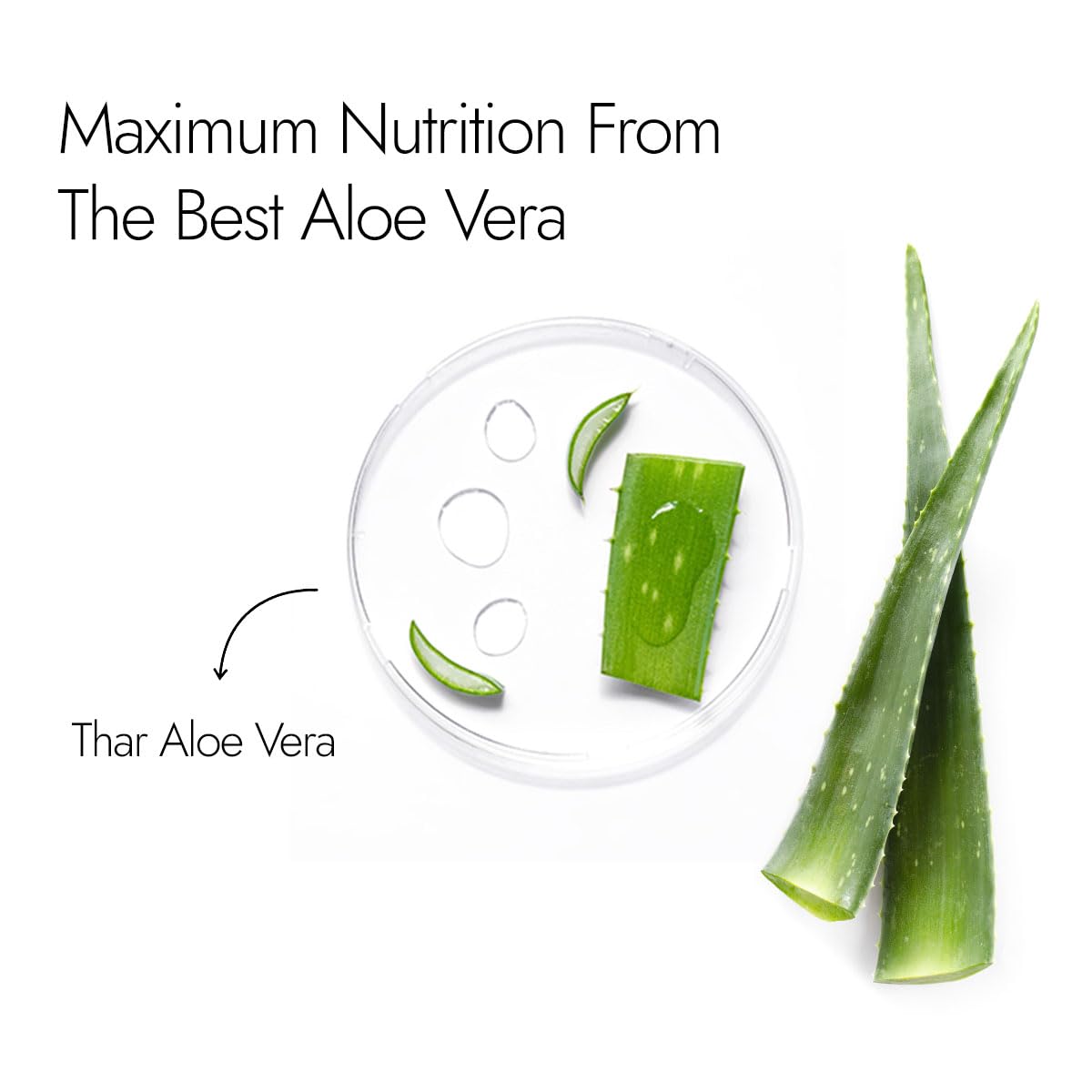 Kapiva Pure Aloe Vera Skin Gel 500g For Face & Hair | Hydrating, Moisturizing, Soothing Skin | Multipurpose Gel - Springkart 