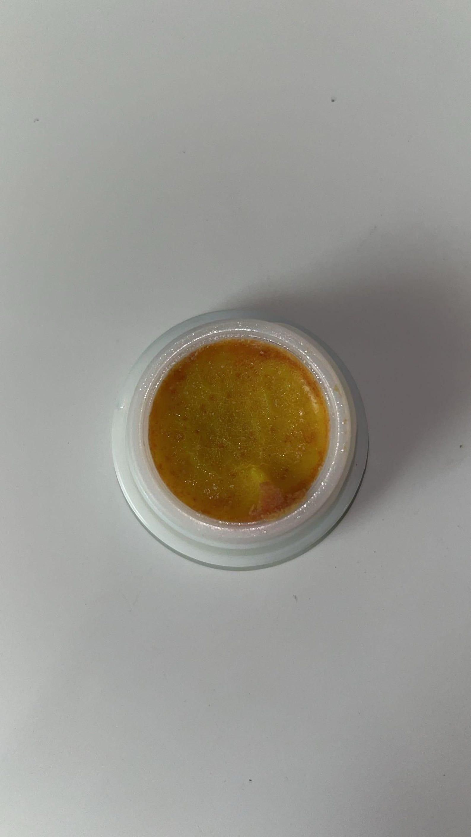 Cockroach Killer Gel (Pack of 2) - Springkart 