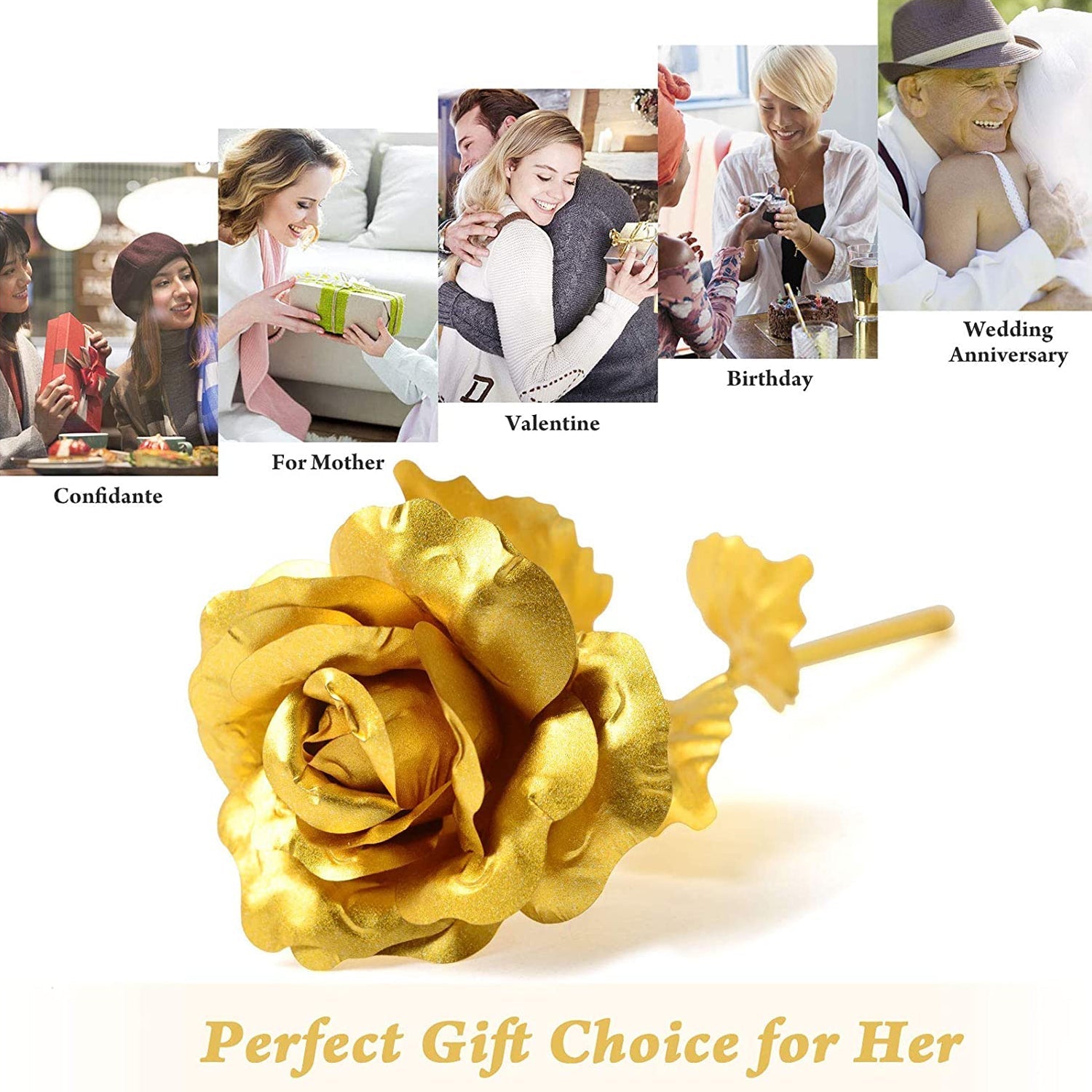 B Golden Rose is perfect for decorating homes, offices, cafes - Springkart 