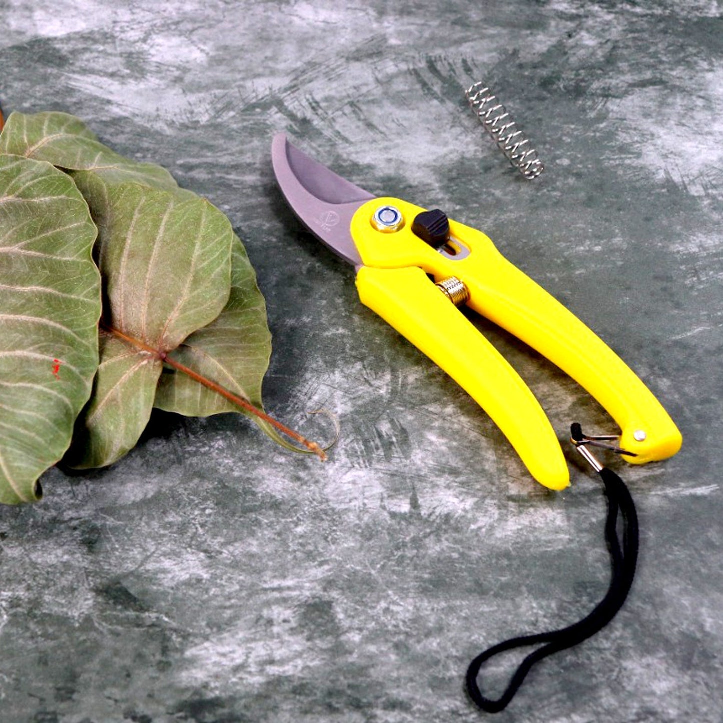 Heavy Duty Plant Cutter For Home Garden Scissors - Springkart 