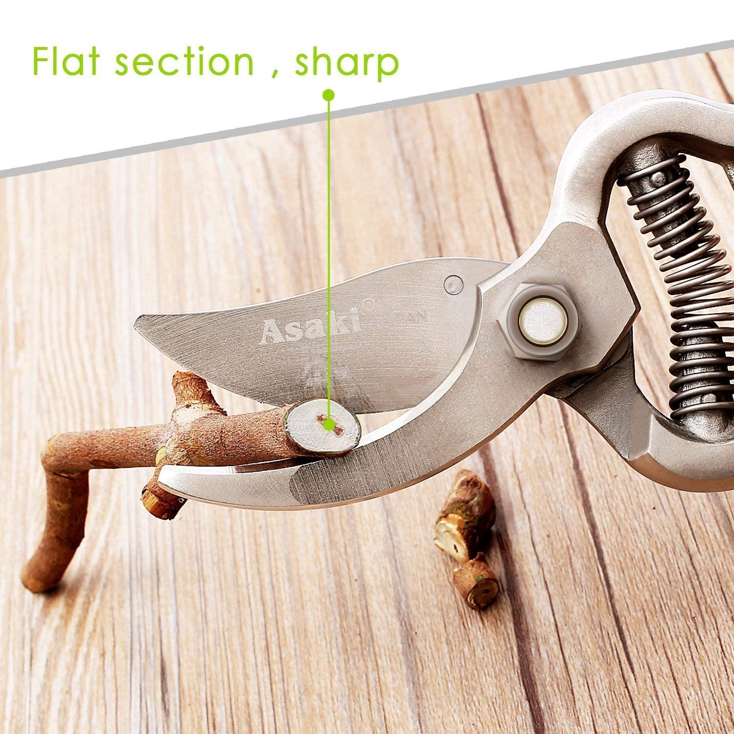 Garden Shears Pruners Scissor (8 inch) - Springkart 