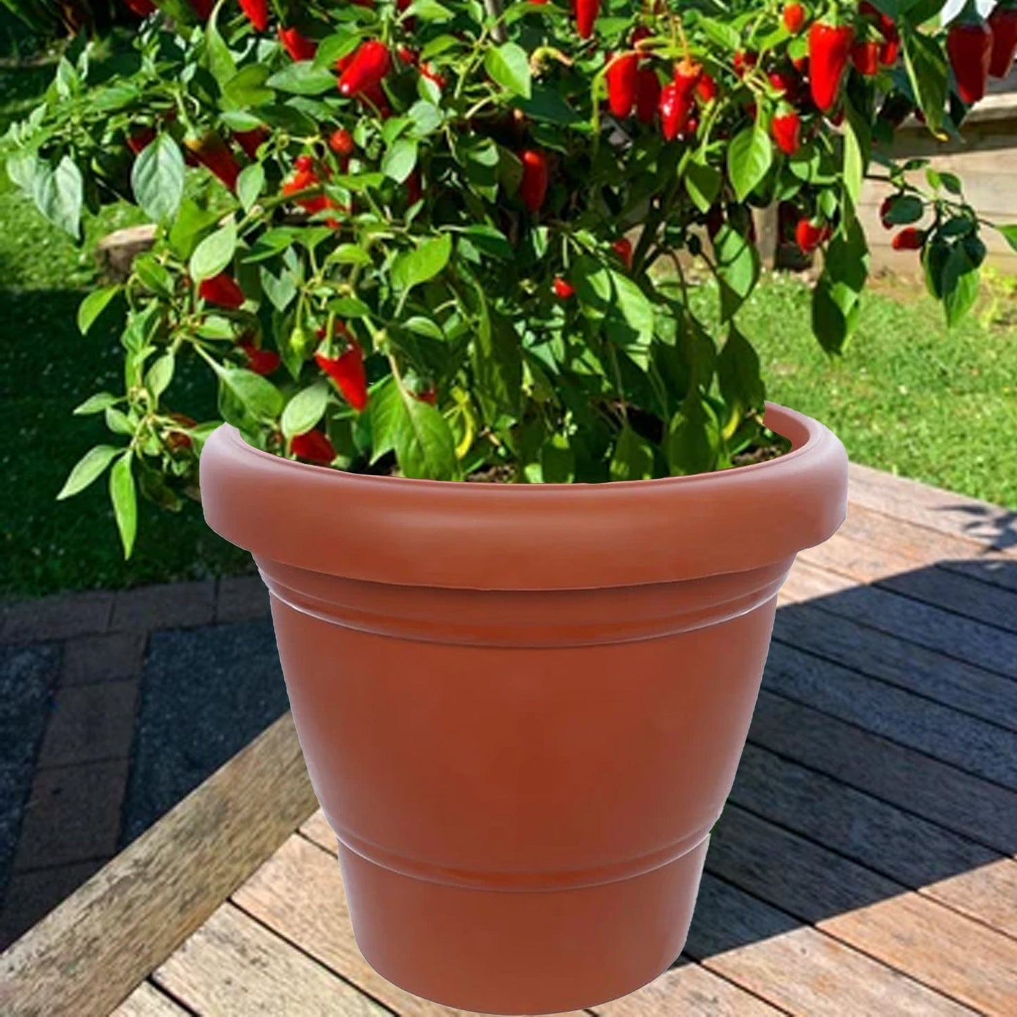 Garden Heavy Plastic Planter Pot / Gamla 6 inch (Brown, Pack of 1, Small) - Springkart 