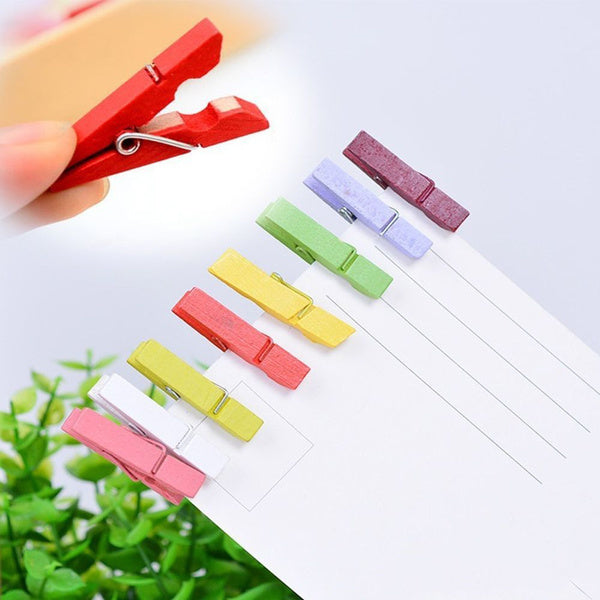 Multipurpose Wooden Clips / Cloth Pegs (Large, 500 Pcs) - Springkart 