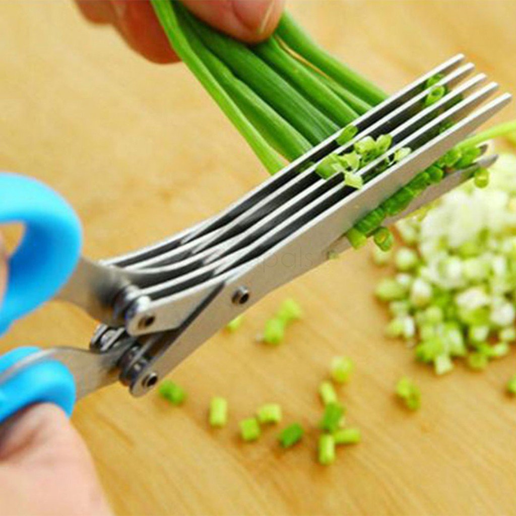 MULTIFUNCTION VEGETABLE STAINLESS STEEL HERBS SCISSOR WITH 5 BLADES - Springkart 