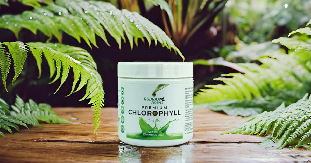 Rudraa Forever Chlorophyll Powder | Body Detox Supplement | Detox Drink | Chlorophyll drink | Immunity Booster | Antioxidant Drink 100gm - Springkart 