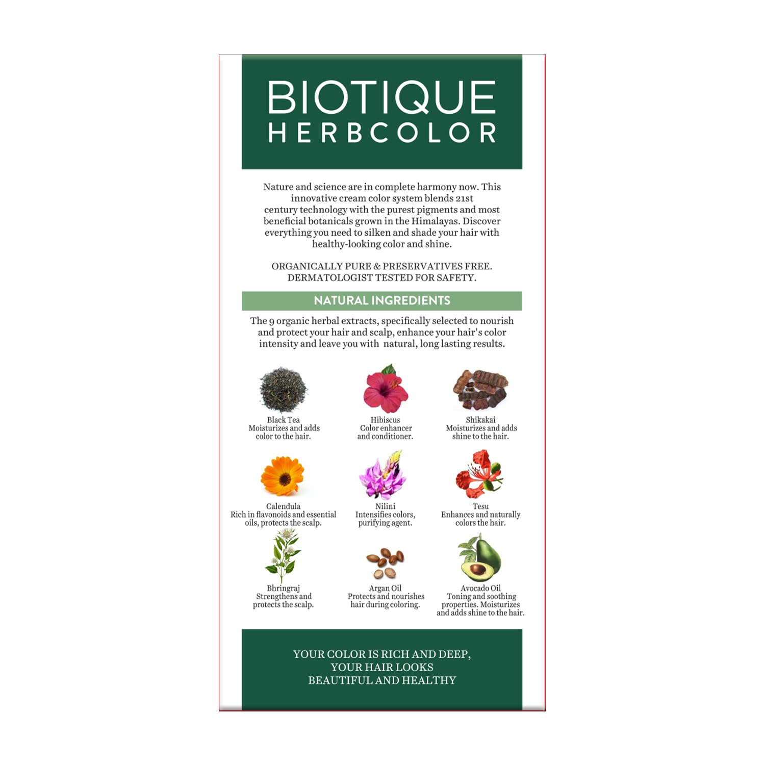 Biotique Herbcolor Conditioning Hair Colour l Ammonia Free Hair Color l 9 Organic Herbal Extracts l Natural and Healthy Shine l 50g + 110ml| Natural Black 1N (Pack of 1)