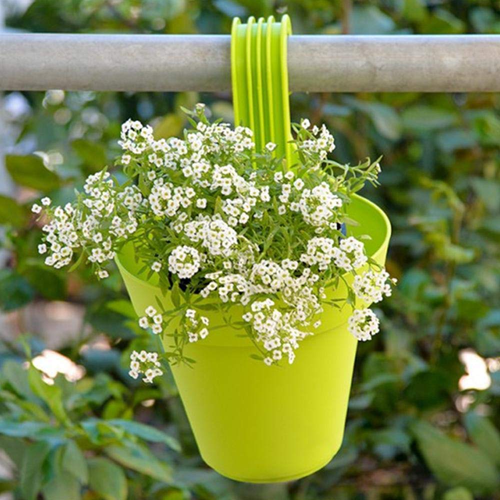 Plastic Hanging Planter Pot, Multicolour, - Springkart 