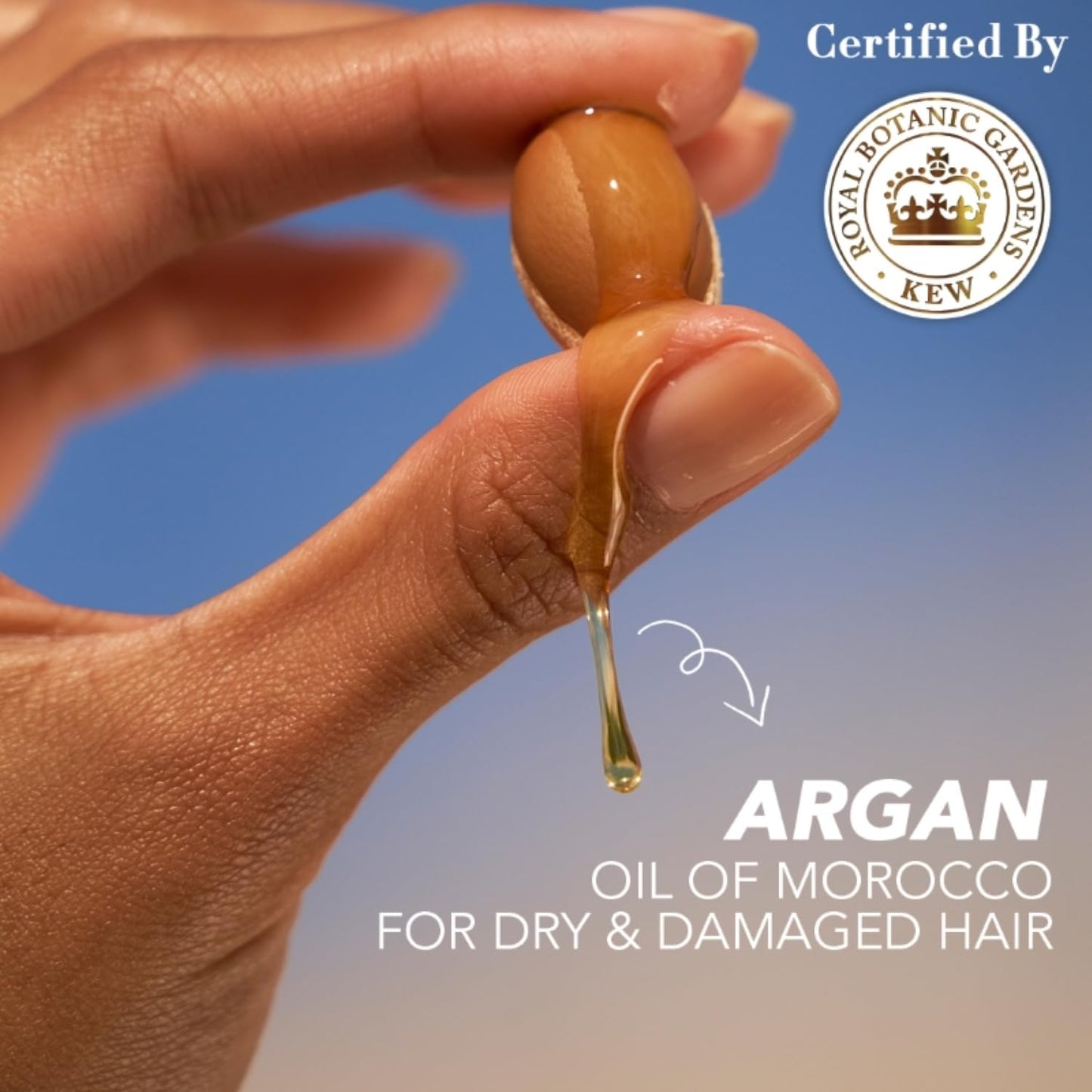 Herbal Essences bio:renew Argan Oil of Morocco SHAMPOO, 400ml, No Parabens No Colourants and Herbal Essences, Argan Oil Hair Mask, 237ml, For Dry, Damaged,Frizzy Hair |Hair Mask for Men & Women - Springkart 