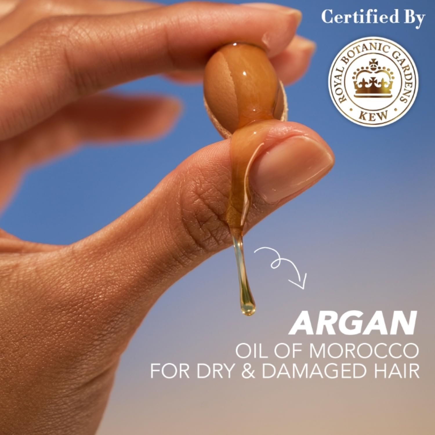 Herbal Essences bio:renew Argan Oil of Morocco SHAMPOO, 400ml, No Parabens No Colourants and Herbal Essences, Argan Oil Hair Mask, 237ml, For Dry, Damaged,Frizzy Hair |Hair Mask for Men & Women - Springkart 