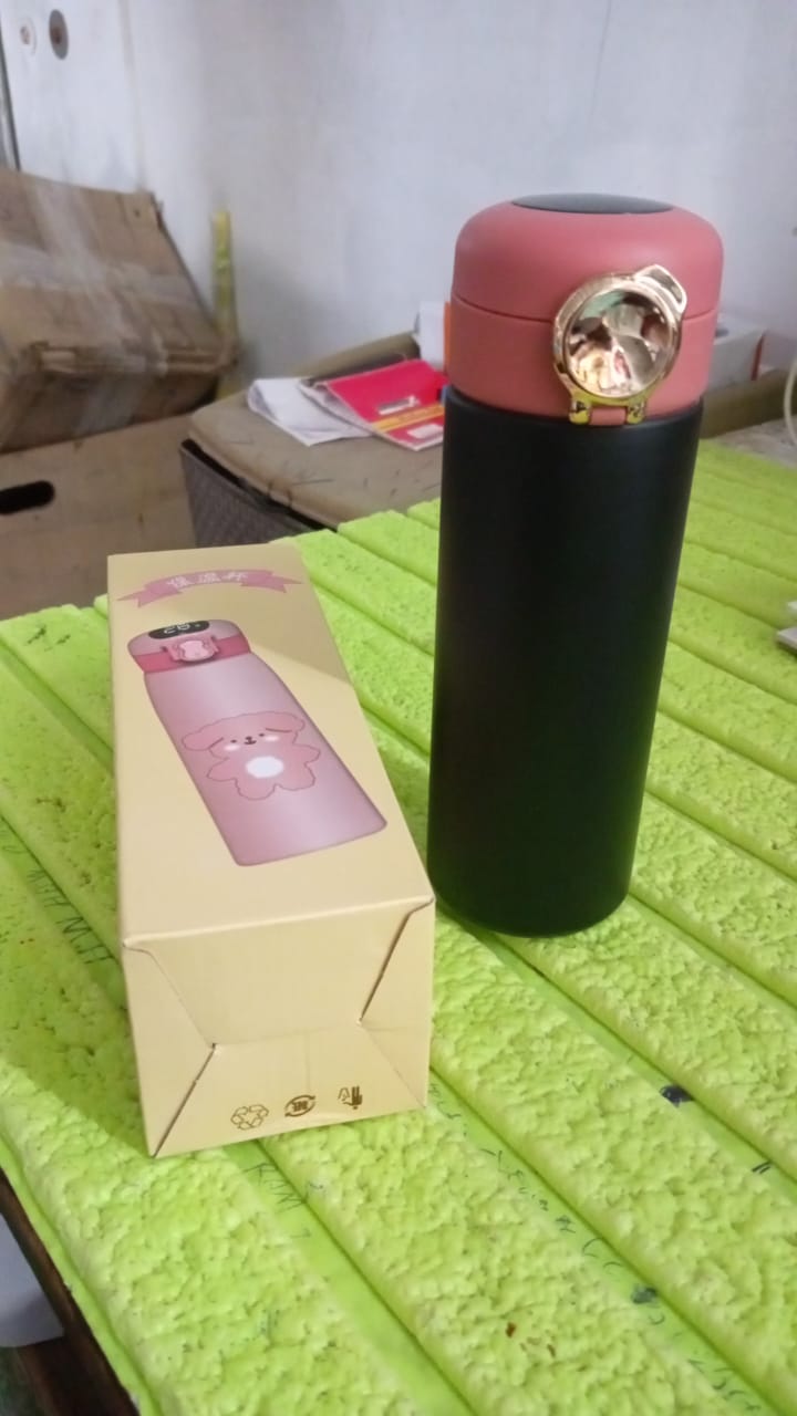 Smart Vacuum Insulated Water Bottle with LED Temperature Display (450 ML Approx) - Springkart 