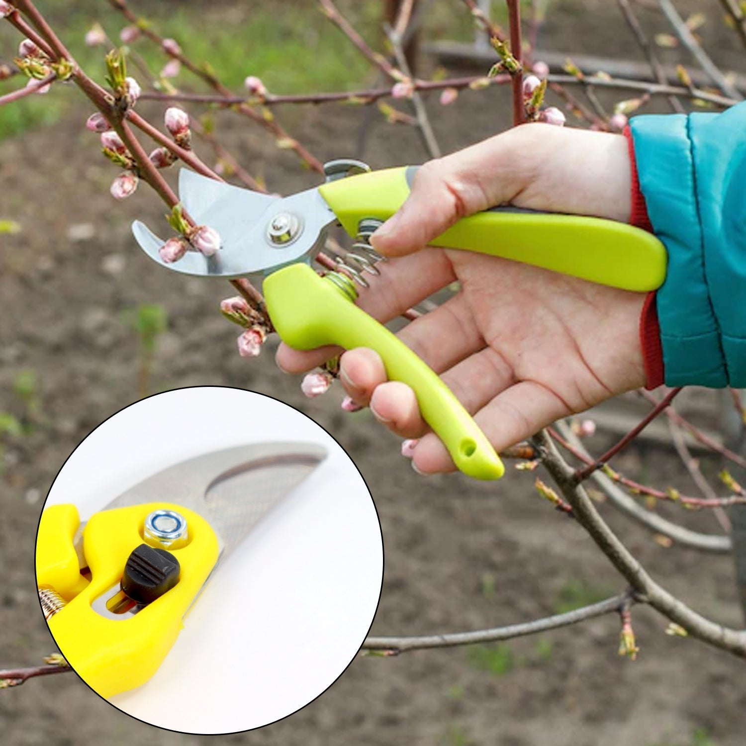 Heavy Duty Plant Cutter For Home Garden Scissors - Springkart 