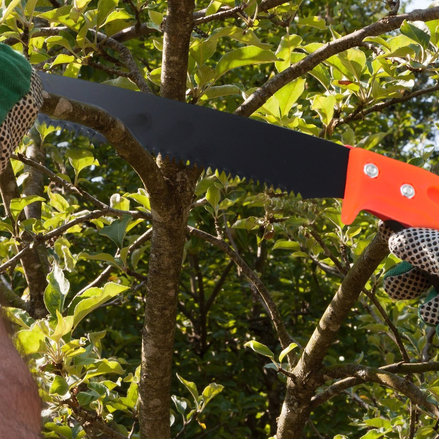 Hand Pruning Saw for Tree Branch Cutter (1 Pc) - Springkart 