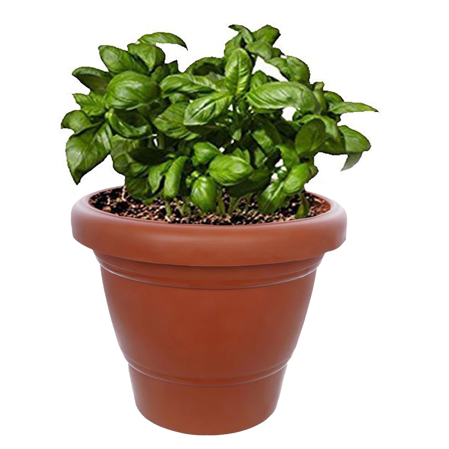 Garden Heavy Plastic Planter Pot / Gamla 6 inch (Brown, Pack of 1, Small) - Springkart 