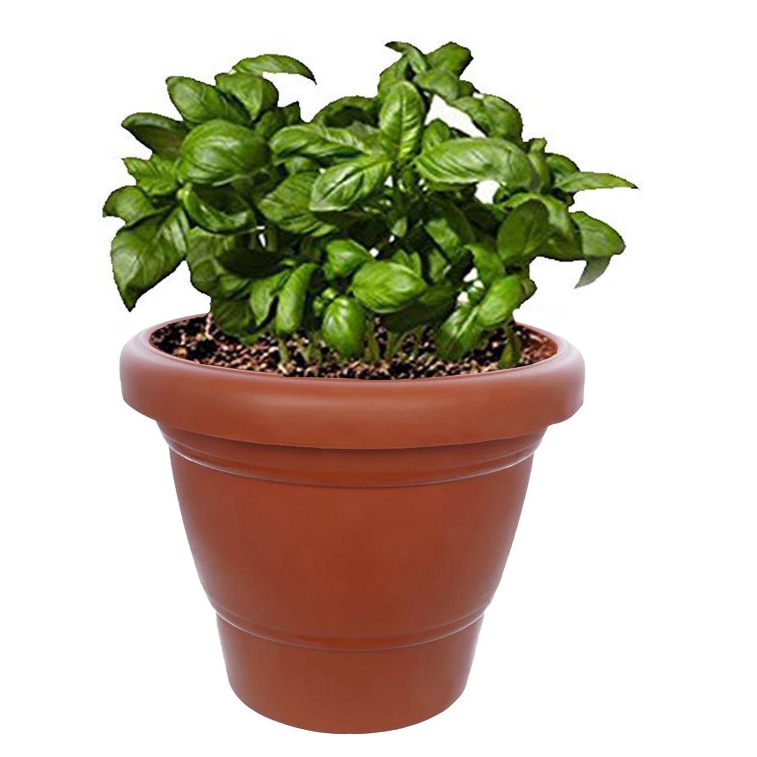 Garden Heavy Plastic Planter Pot / Gamla 6 inch (Brown, Pack of 1, Small) - Springkart 