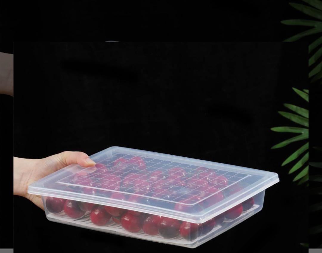 Fridge Storage Containers Box 28*20.5*5.5cm 6pc - Springkart 