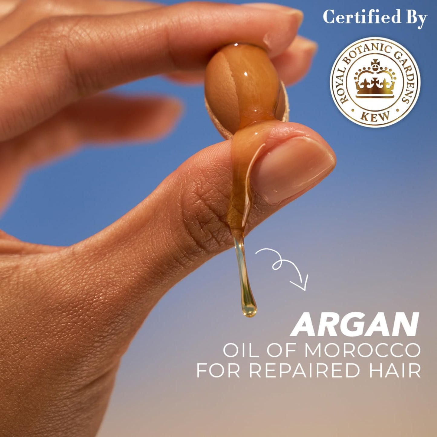 Herbal Essences bio:renew Argan Oil of Morocco SHAMPOO, 400ml, No Parabens No Colourants and Herbal Essences, Argan Oil Hair Mask, 237ml, For Dry, Damaged,Frizzy Hair |Hair Mask for Men & Women - Springkart 