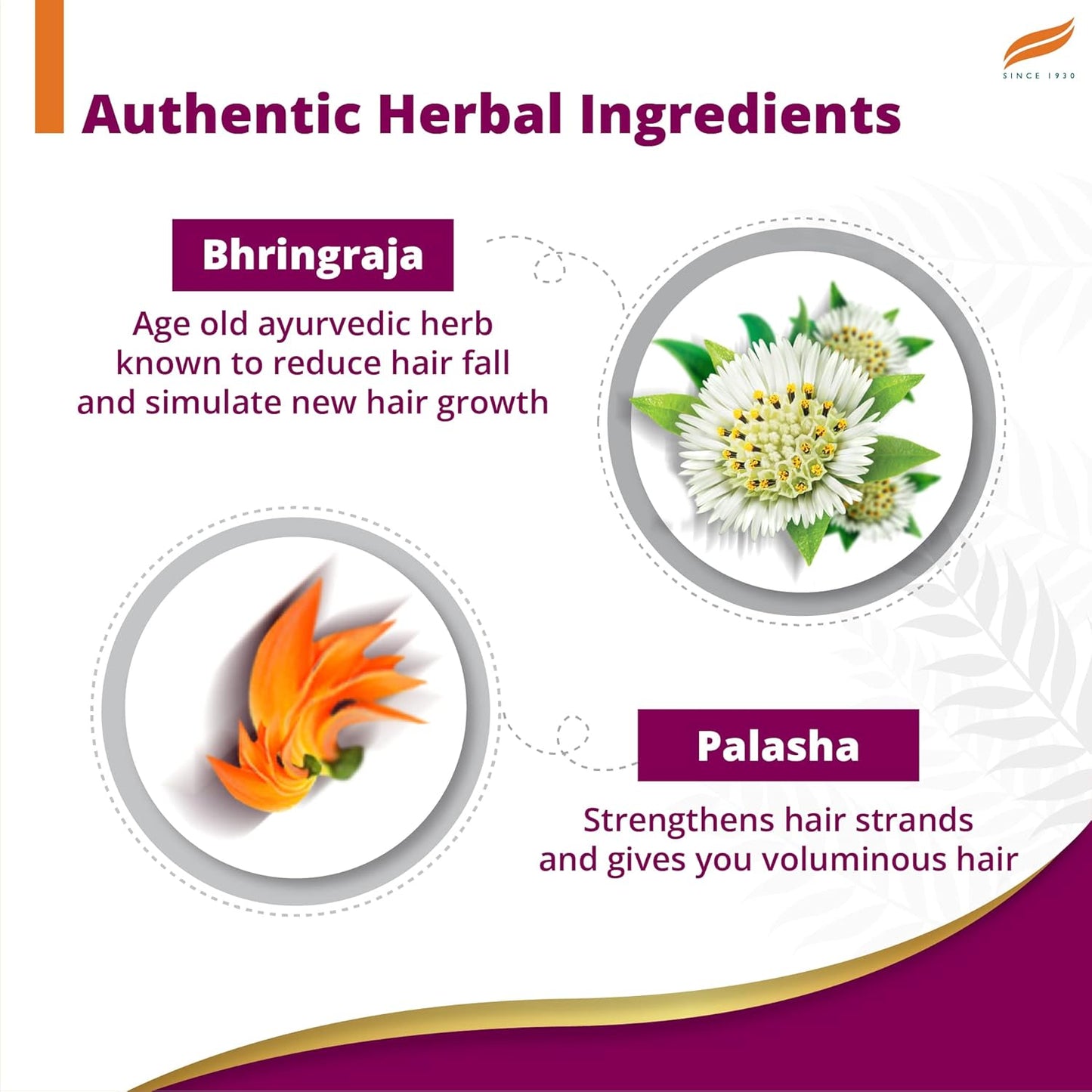 Himalaya Anti Hair Fall Shampoo with Bringaraja, 1000 ml - Springkart 
