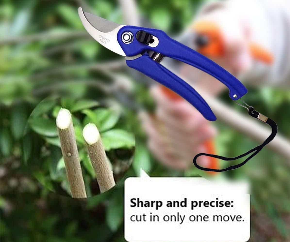 Stainless Steel Garden Scissors - Springkart 