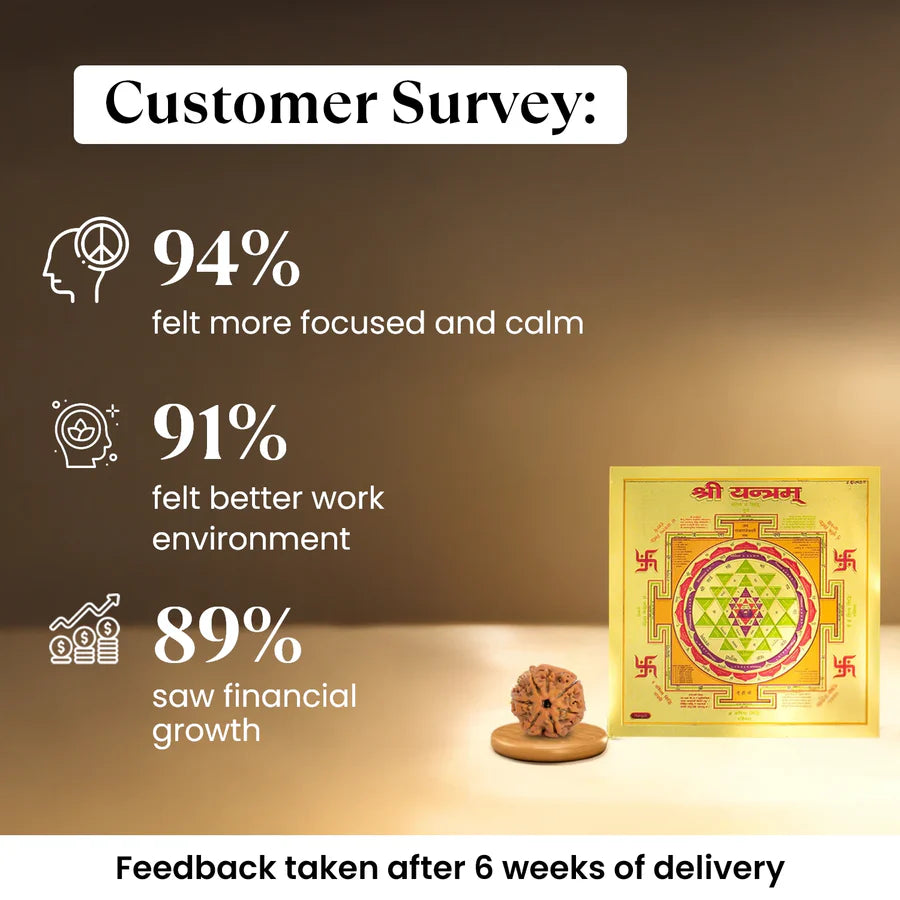 7 Mukhi Rudraksha with FREE Shree Yantra (6*6 inch)