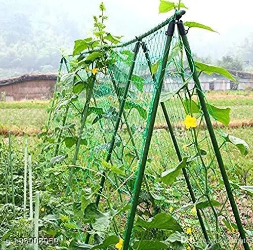 Vegetable Creeper Net/Passion Fruit Net/Plant Support Net - 3 Meter x 2 Meter