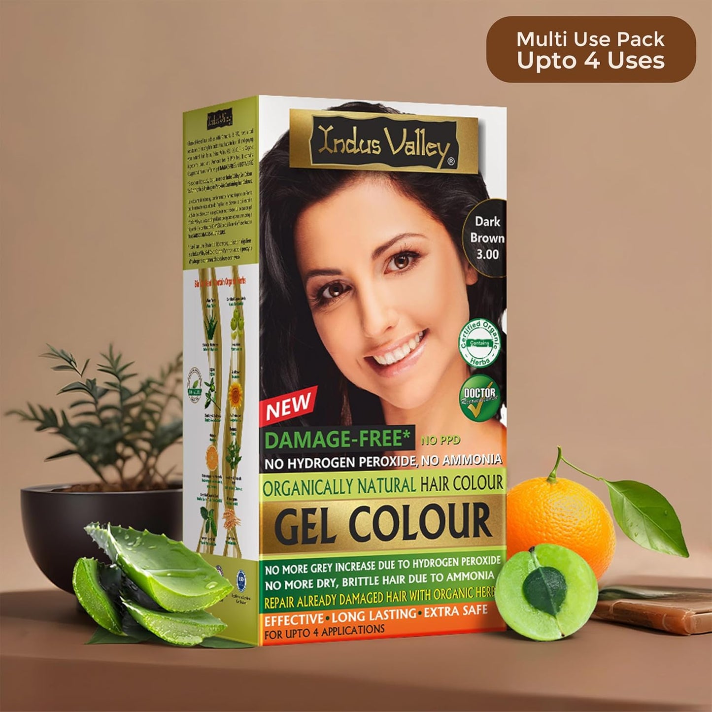 INDUS VALLEY Damage Free Natural Gel Hair Colour for Women | Ammonia & PPD Free Organic Hair Colour with 100% Grey Coverage, Long Lasting Conditioning Hair Color | Dark Brown 3.00-220 ml