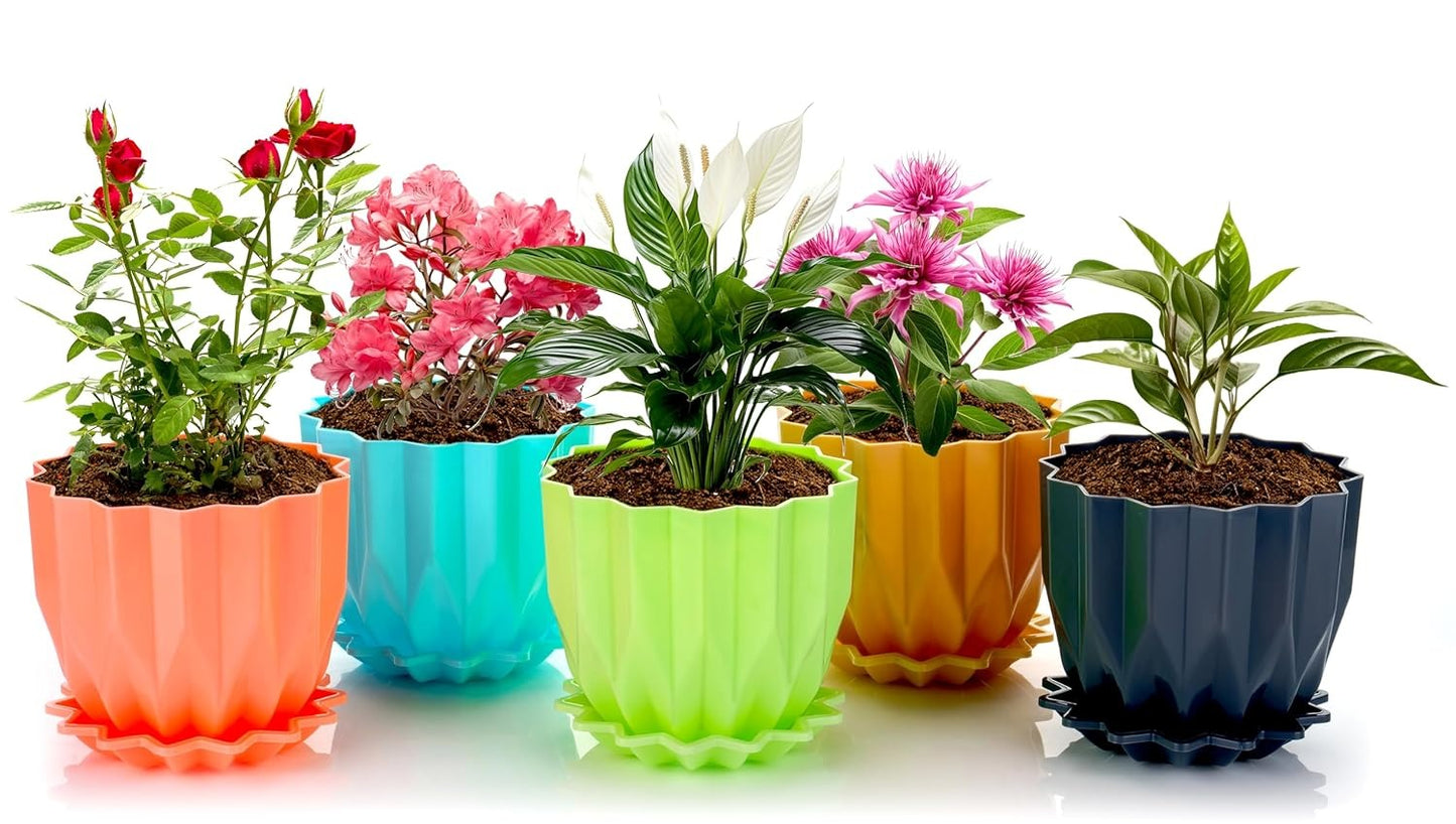 Crystal Flower Pot With Drain Plate (Set Of 5)