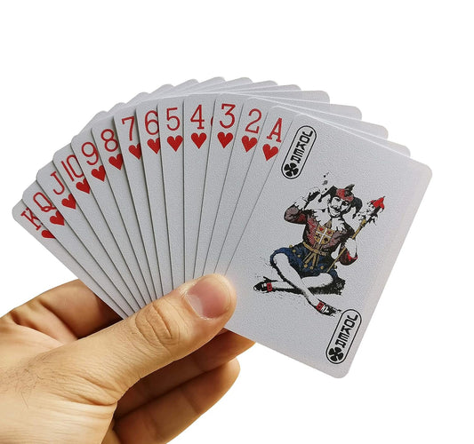 The Ace Card Company Premium Plastic Playing Card Game With Case (2 Decks)For Teen - Made In India, Bridge Size, Waterproof - Multicolor, Pack of 2