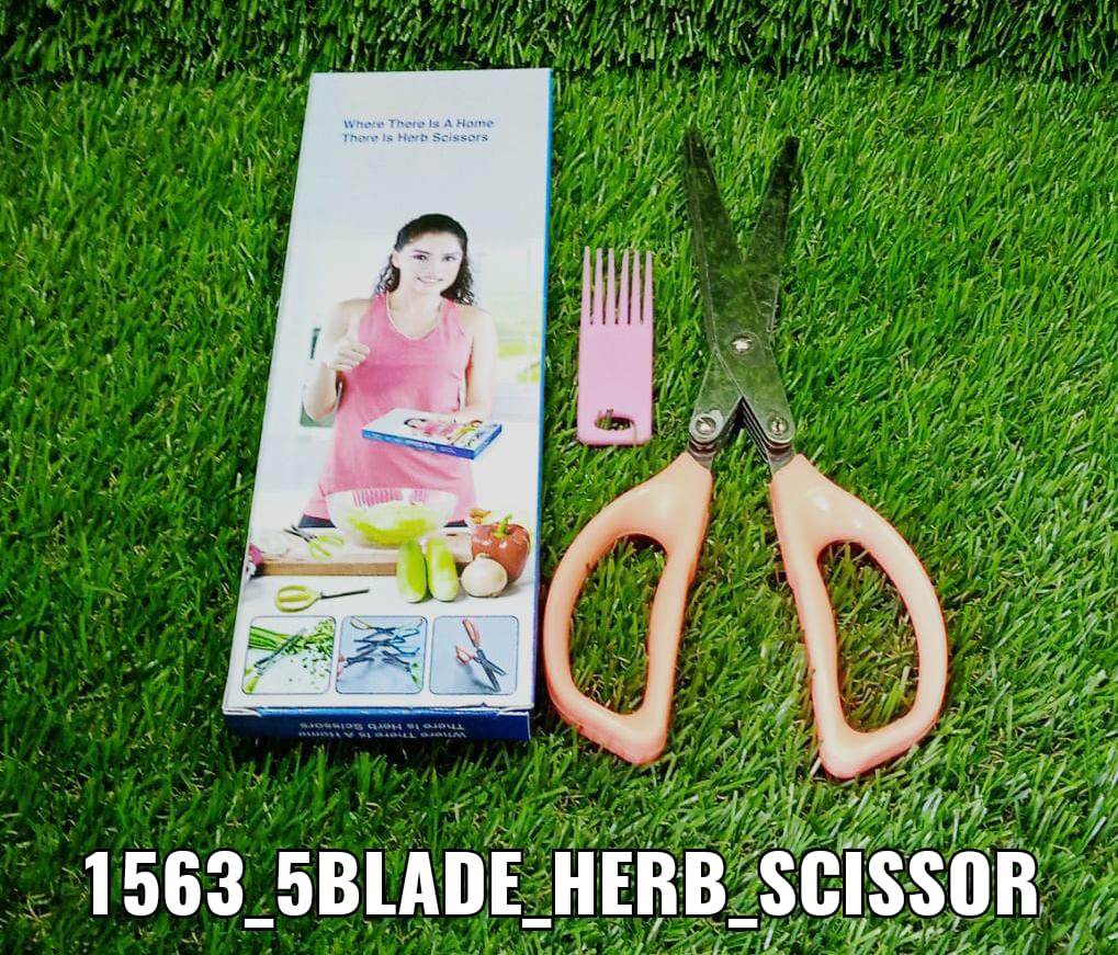 Multifunction Vegetable Stainless Steel Herbs Scissor with 5 Blades - Springkart 