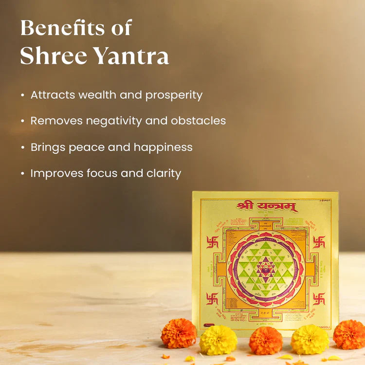 7 Mukhi Rudraksha with FREE Shree Yantra (6*6 inch)