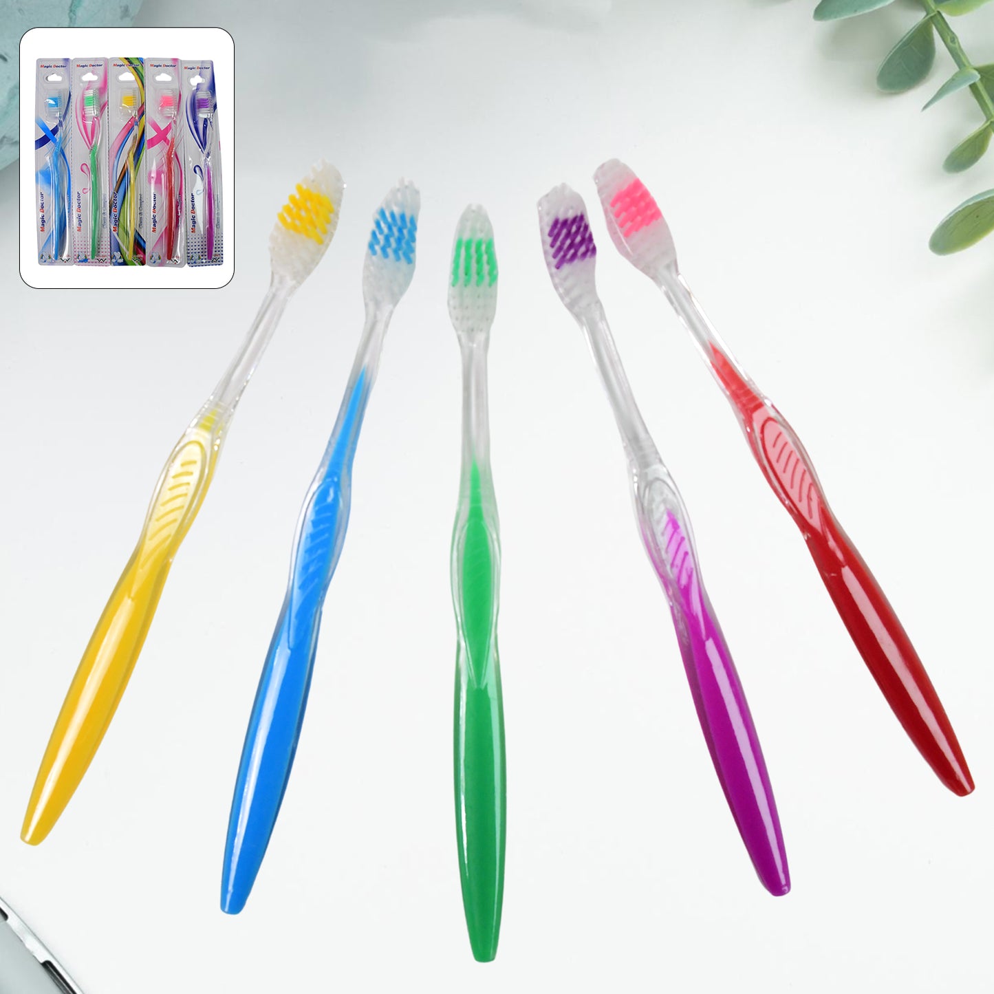 Premium Plastic Toothbrush (1 Pc Mix Color) - Springkart 