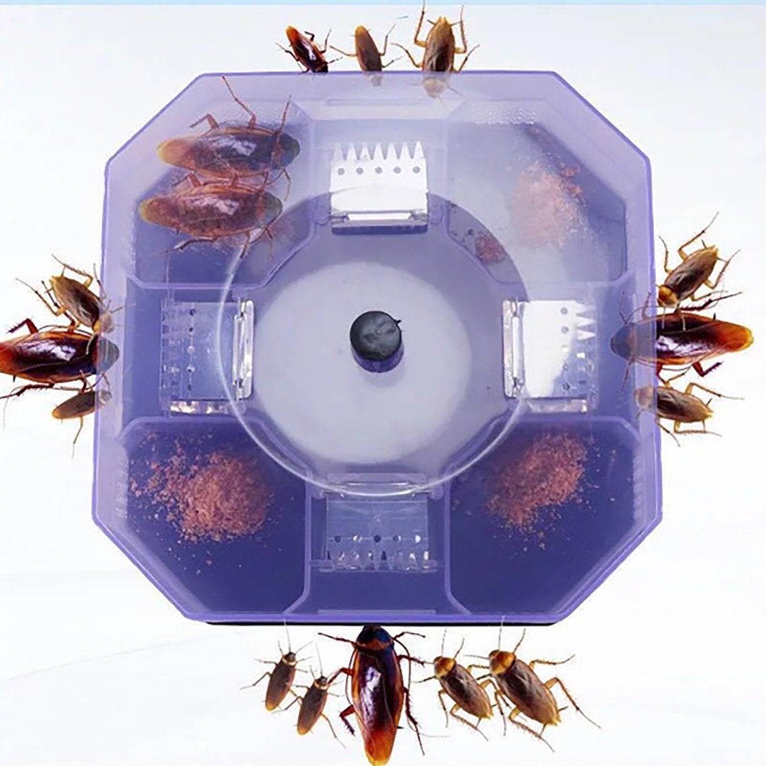 1471 Cockroach Traps Box Cockroach Bug Roach Catcher Cockroach Killer - Springkart 
