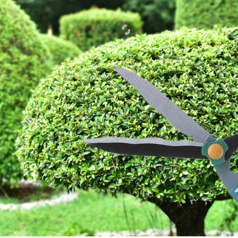 Garden Big Scissor - Springkart 