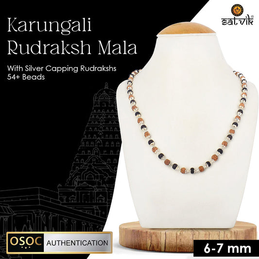 Govt. Certified Rudraksha & Karungali Mala