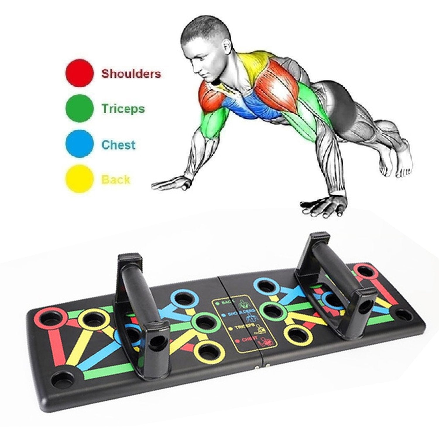 1443 Portable Push Up Board System Body Building Exercise Tool - Springkart 