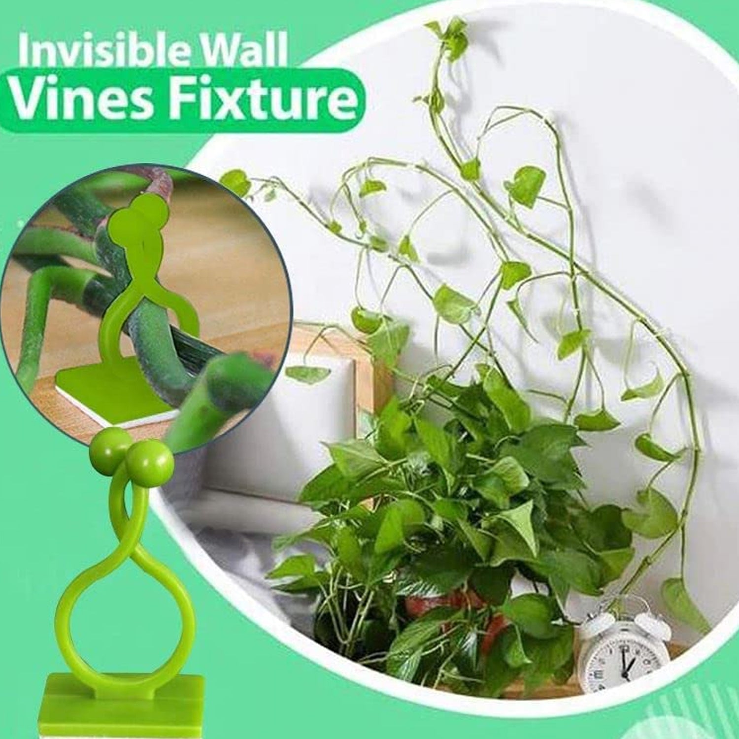 6156a 30pcs Wall Plant Climbing Clip Widely Used For Holding Plants And Poultry Purposes And All. - Springkart 