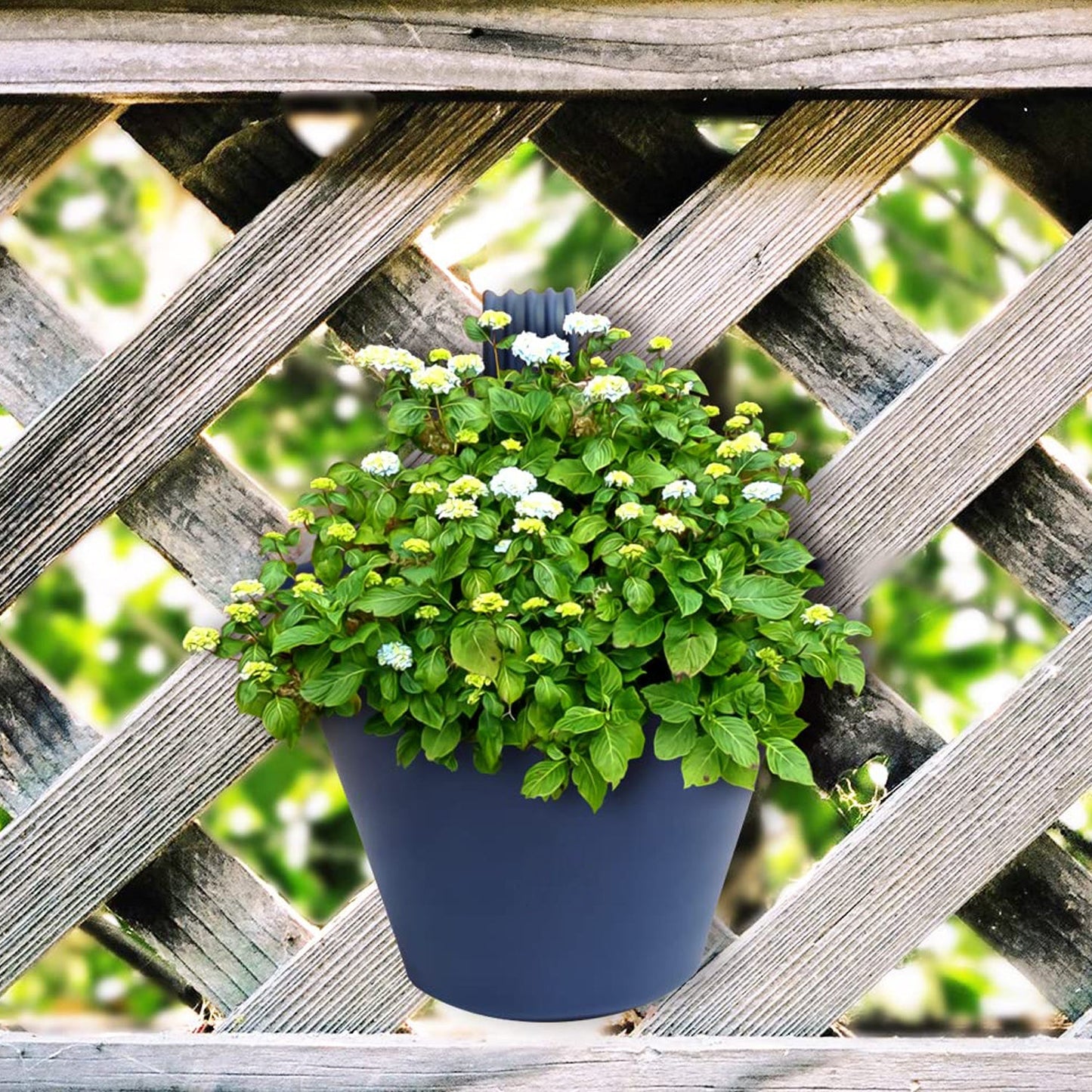 4822 Hanging Planter Pot Used For Storing And Holding Plants And Flowers In It And This Is Widely Used In In All Kinds Of Gardening And Household Places Etc. - Springkart 