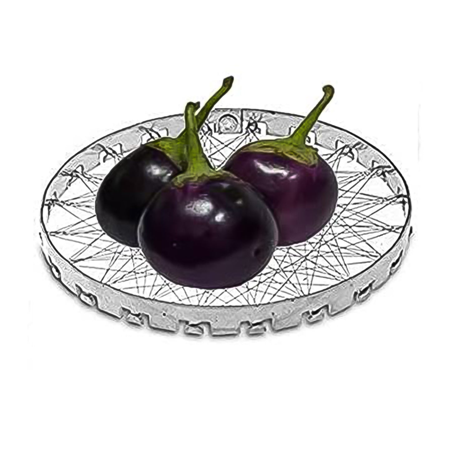 Stainless Steel Grill Jalli Chota Tandoor - Springkart 