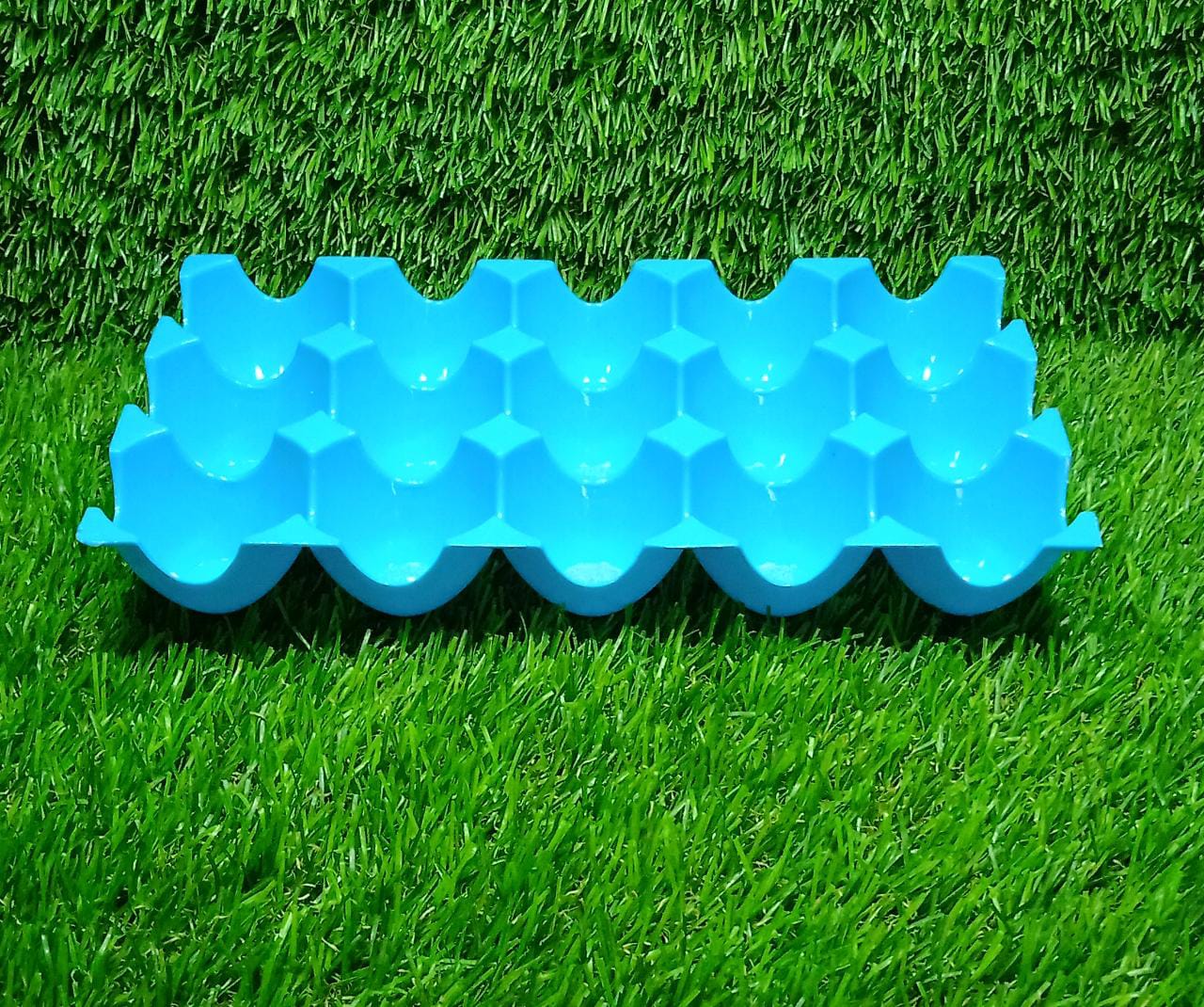 Egg Trays for Storage with 15 Eggs Holder - Springkart 