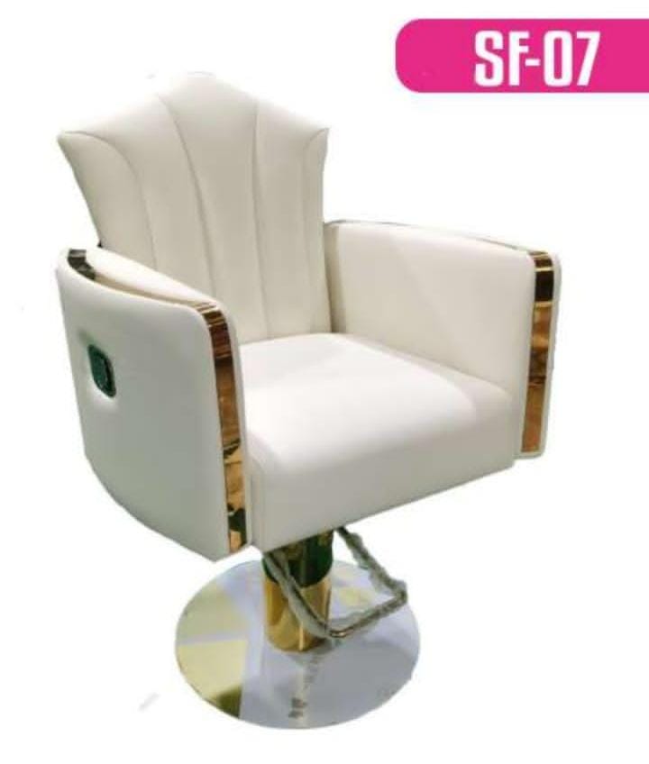 Steel Brown BRUT SALON CHAIR, p.u cushion/Professional, Synthetic Leather Imported.