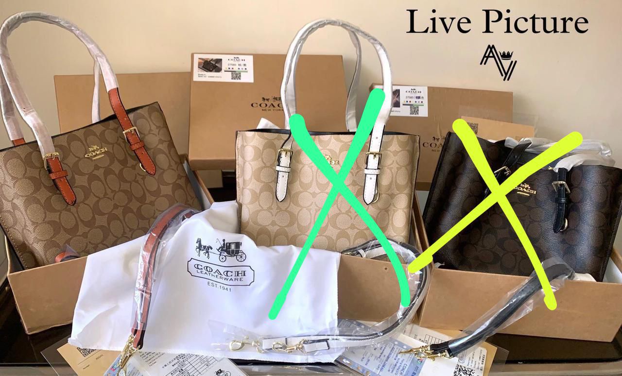 COACH  MOLLIE  TOTE  2025