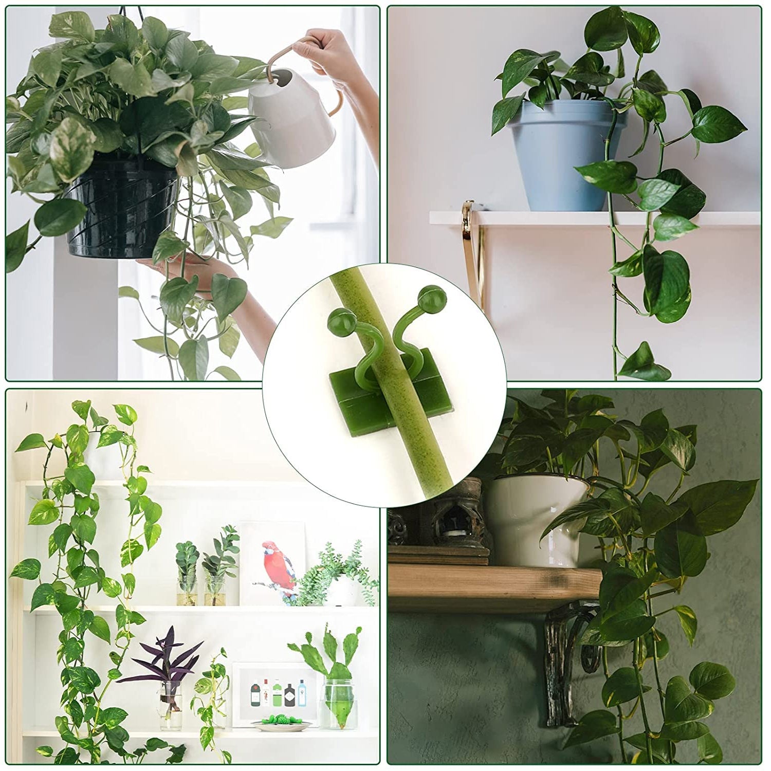 6156a 30pcs Wall Plant Climbing Clip Widely Used For Holding Plants And Poultry Purposes And All. - Springkart 